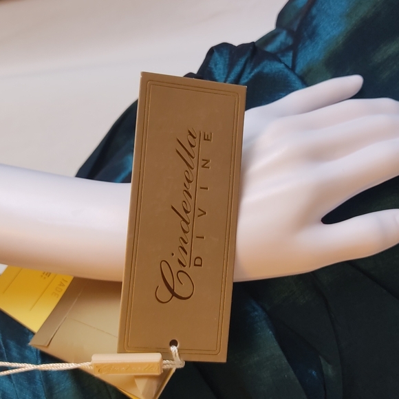 CINDERELLA DIVINE PROM DRESS - Picture 5 of 5